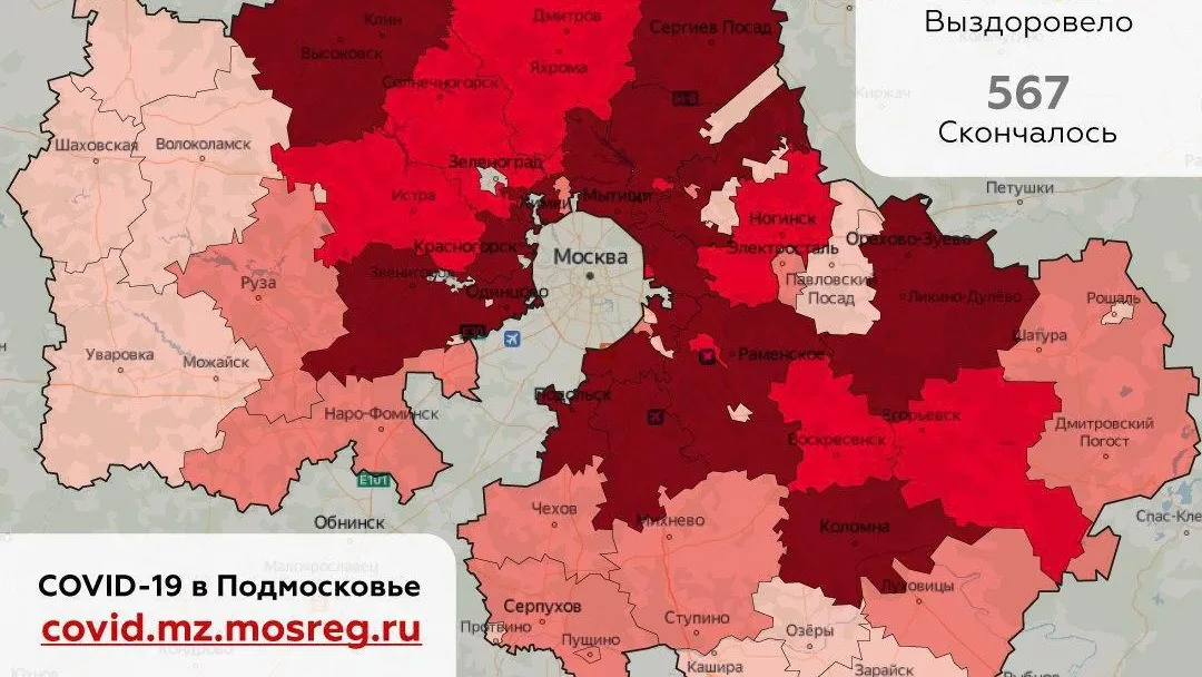 Стало известно, где в Подмосковье выявили больше всего новых случаев Covid‑19 за сутки