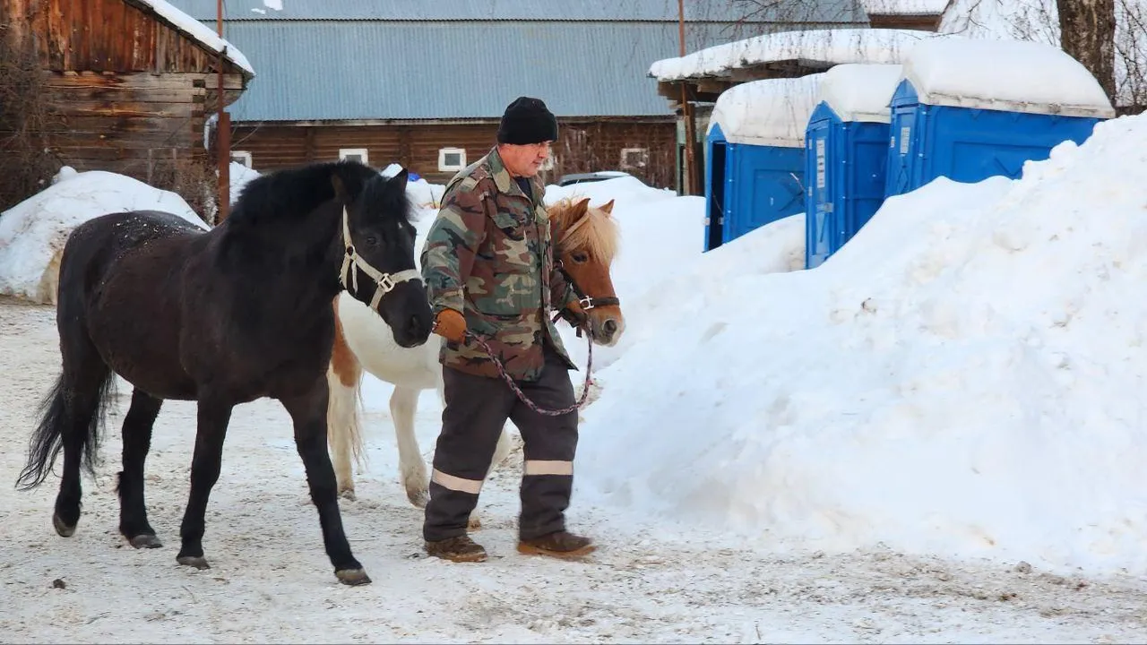 Люберецкий конноспортивный клуб переедет на новое место