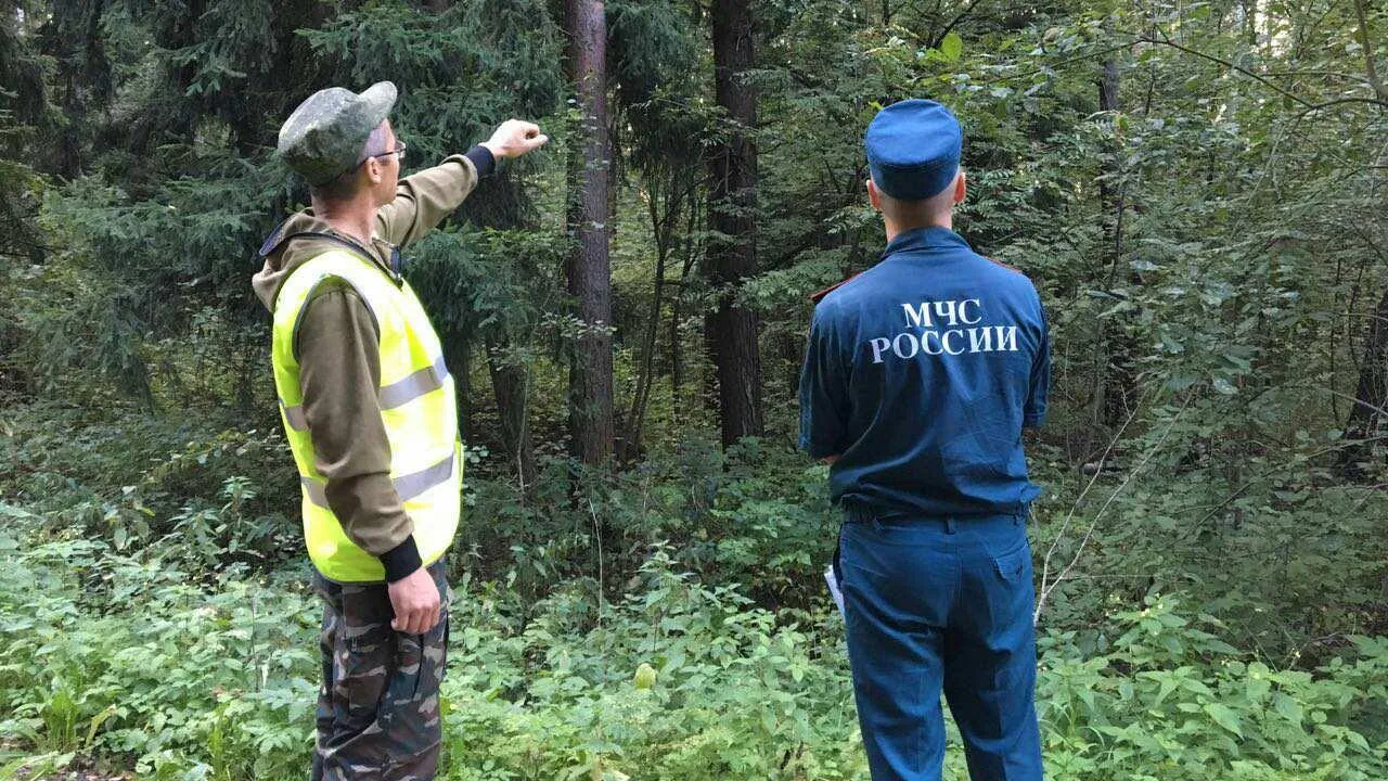 Потерявшегося в Лотошинском районе пенсионера нашли мертвым