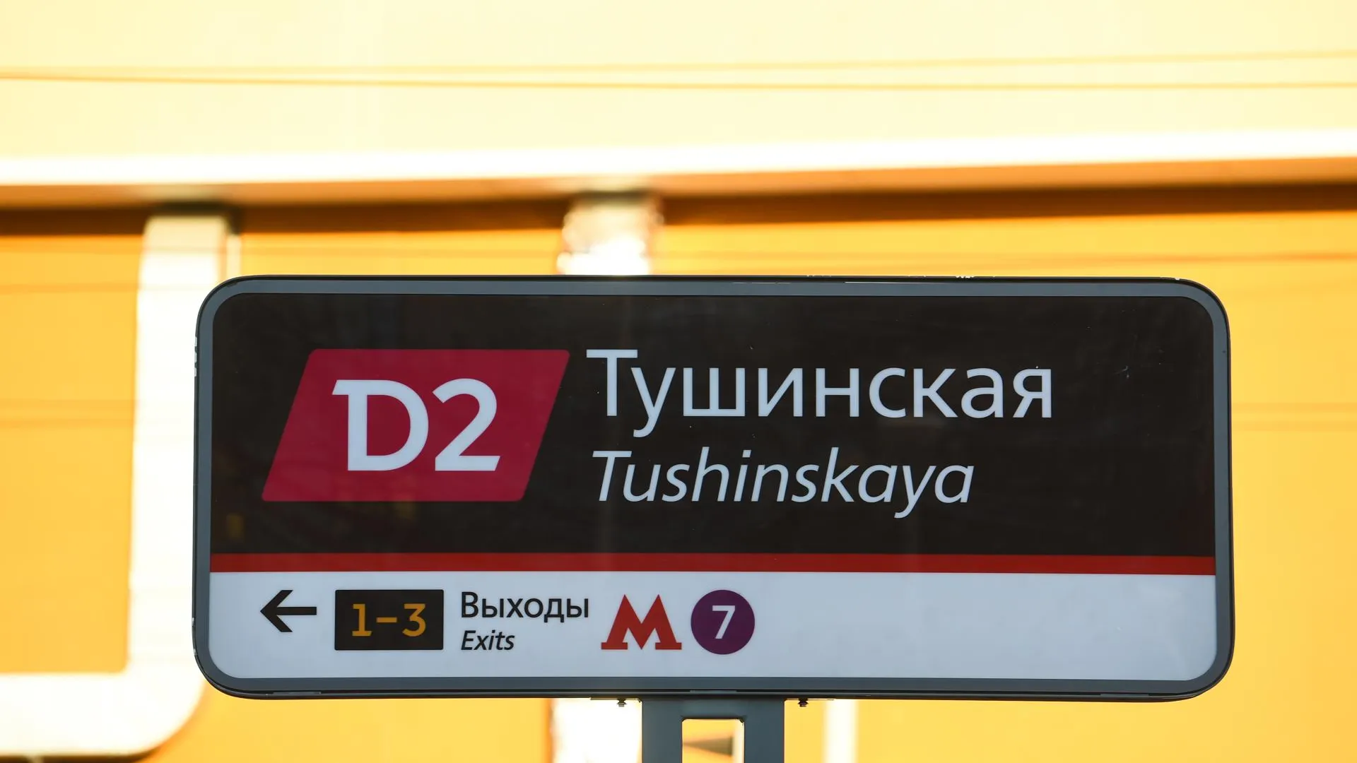 Станции МЦД Царицыно и Тушино стали самыми популярными в новогодние праздники