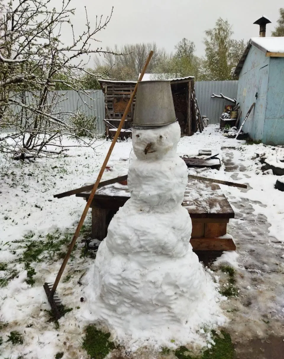 соцсети