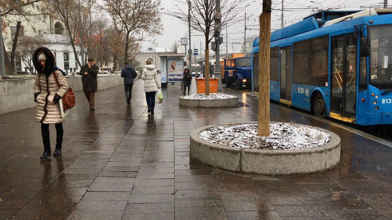 Теплая зима в Москве может привести к набуханию почек на деревьях