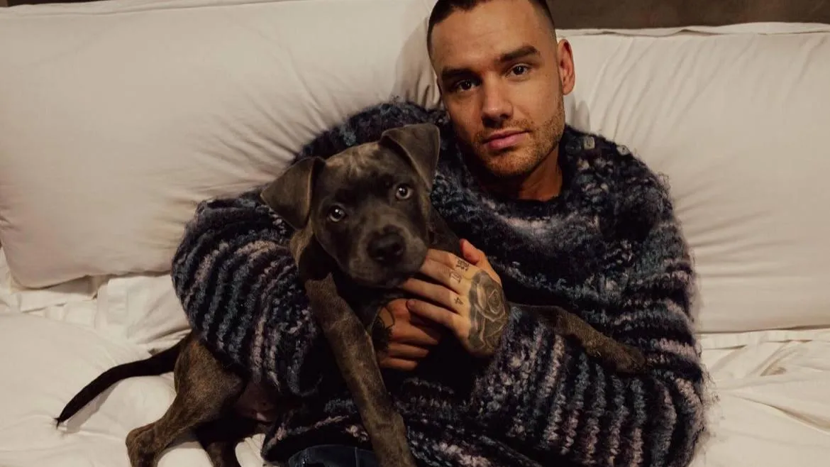 Страница певца в Инстаграм* Liampayne