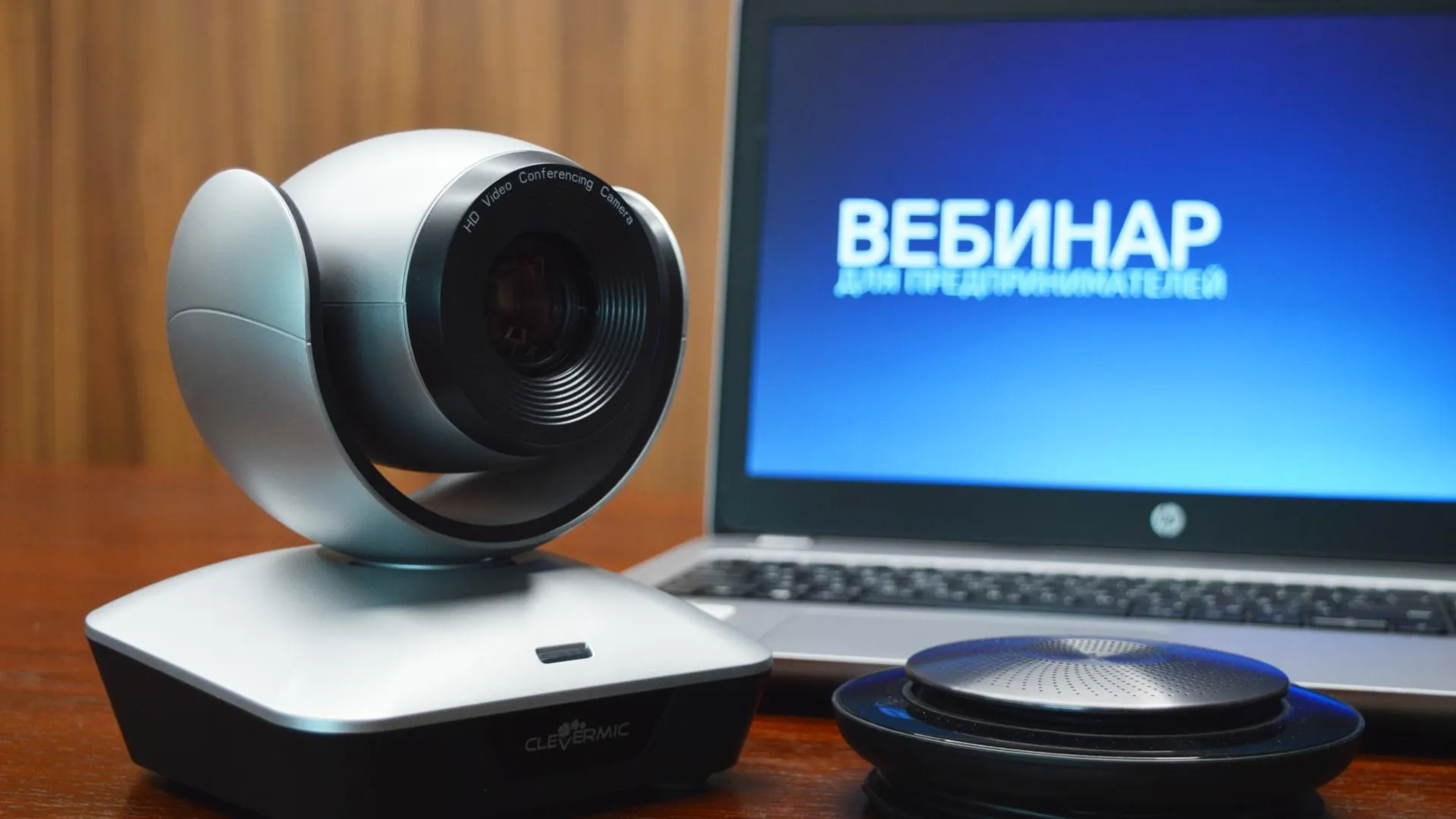 Предпринимателей Подмосковья пригласили на вебинар о размещении НТО