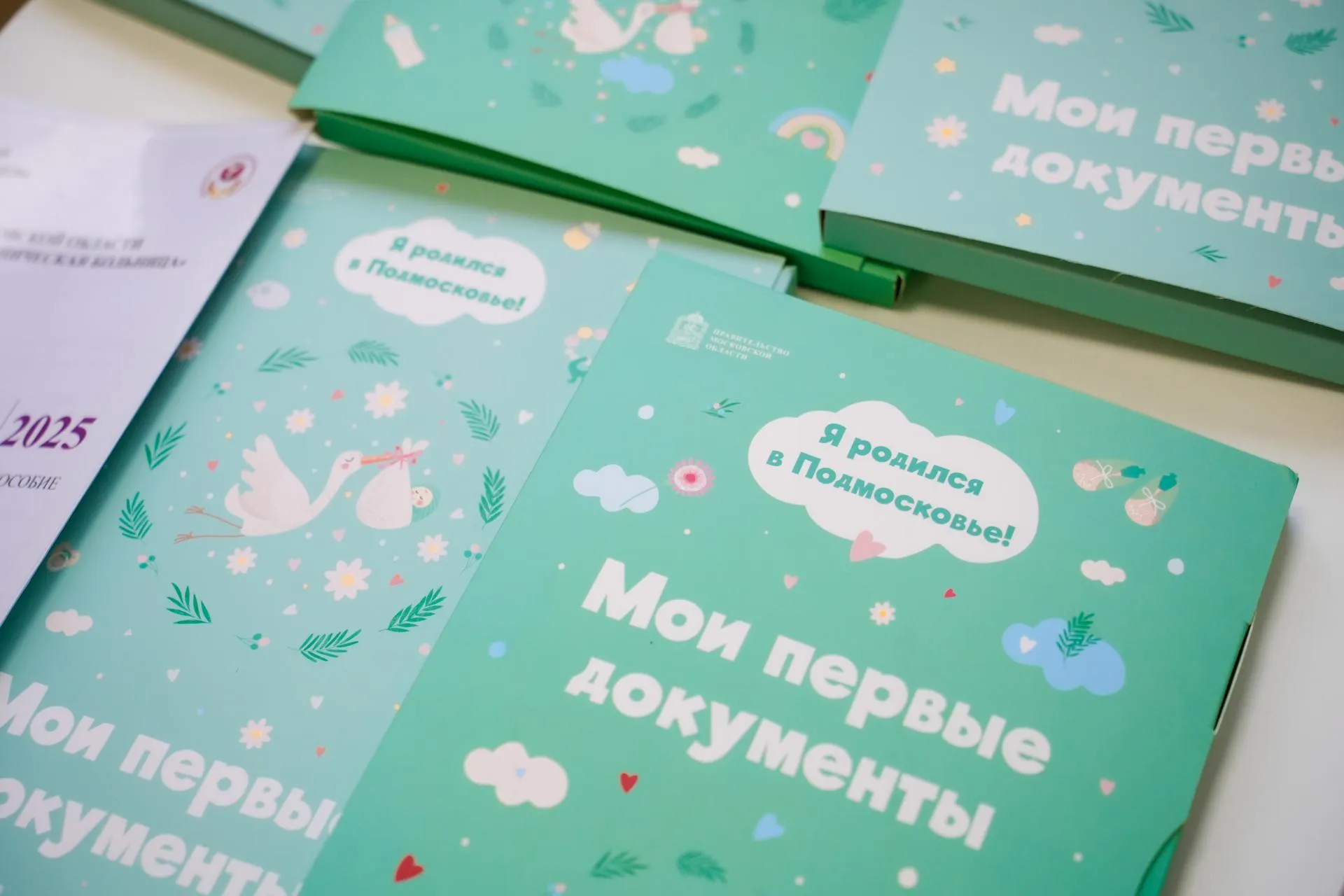 Александра Степанова