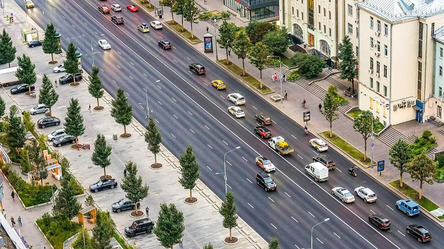 Еще 8 тыс разных деревьев высадят в Москве в этом году