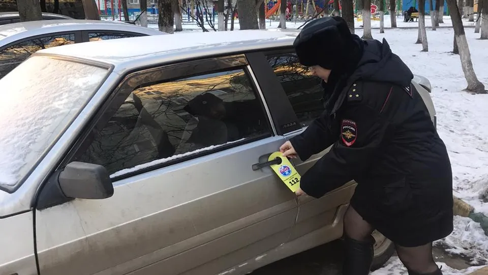 Инспекторы ГИБДД Люберец рассказали родителям о правилах выбора детского кресла