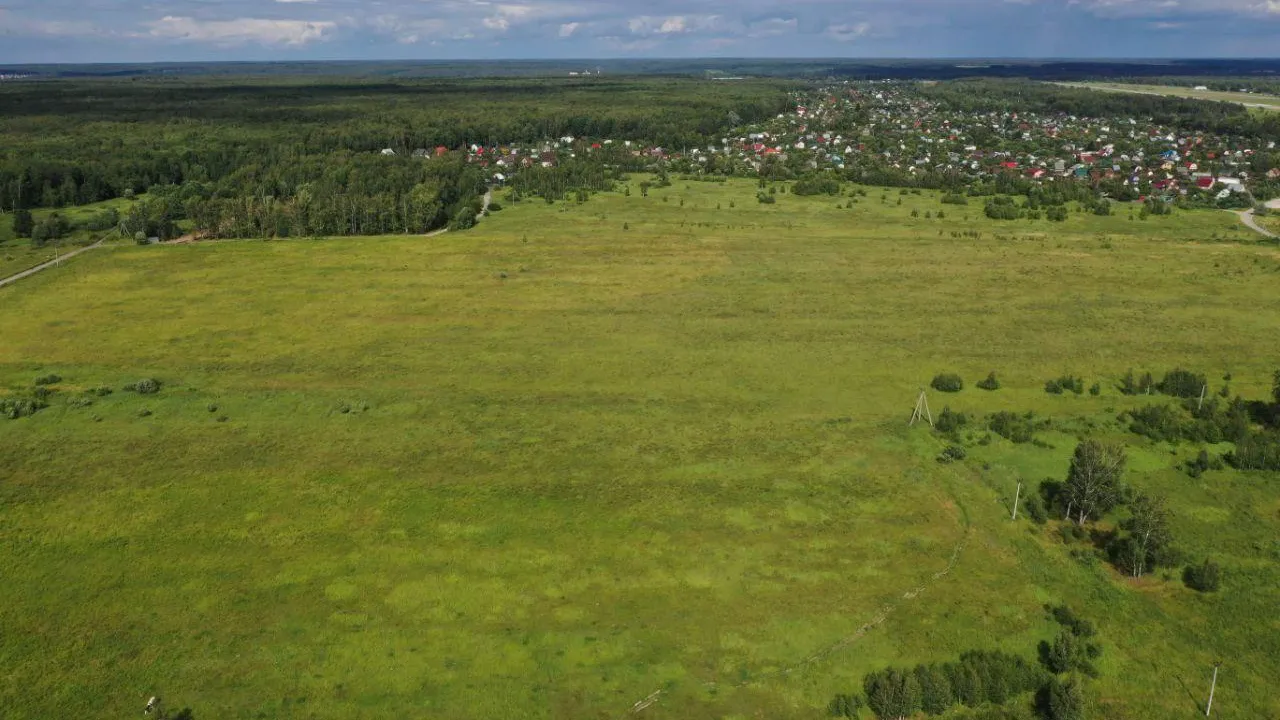 Более 36 га областной собственности передали в аренду жителям Подмосковья с начала года