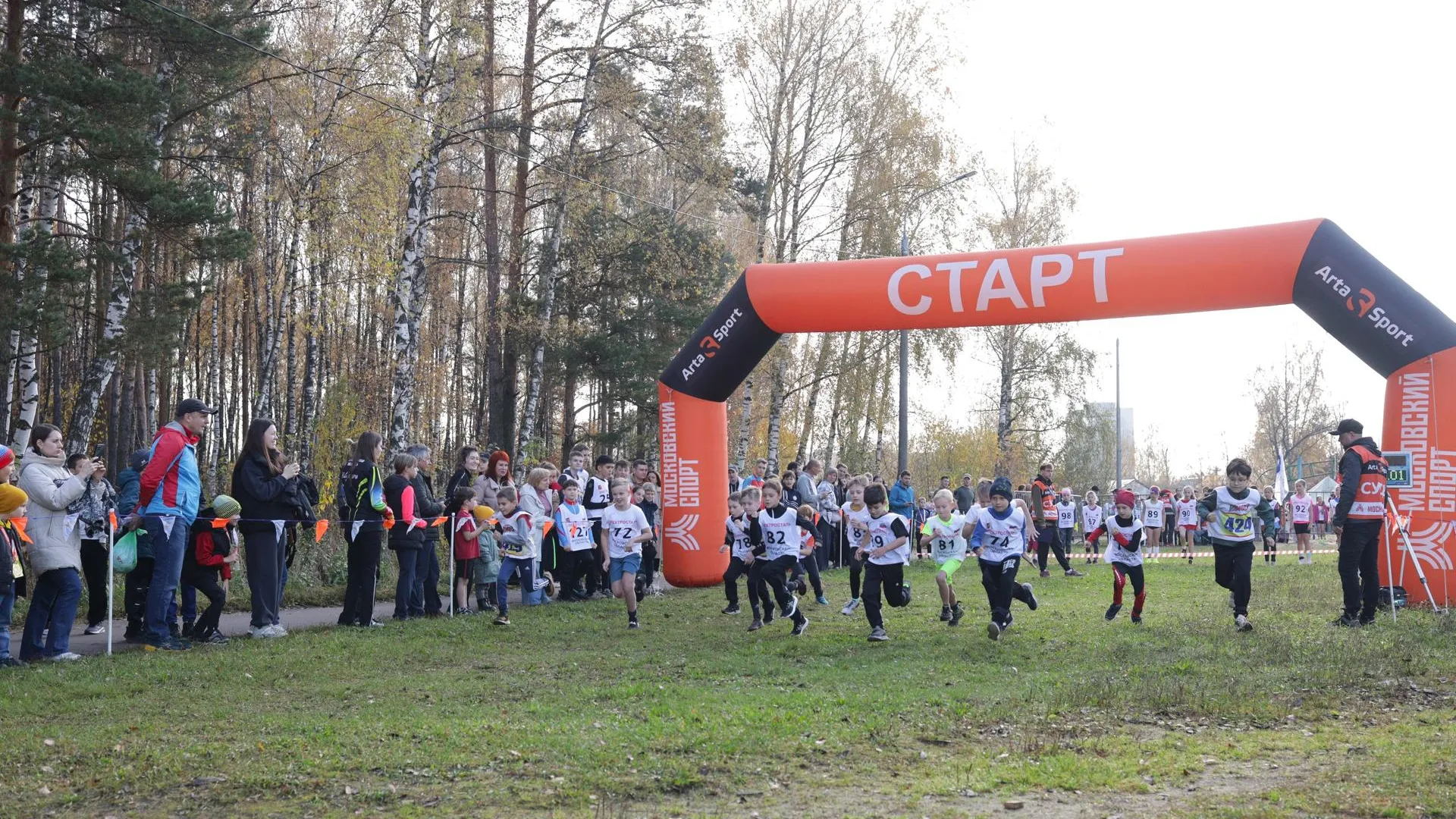 Более 500 человек пробежали кросс «Царь горы» в Электростали