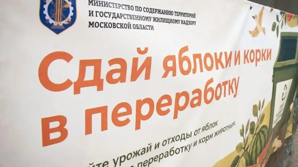 В Подмосковье завершили сезонный сбор излишков яблок и бахчевых