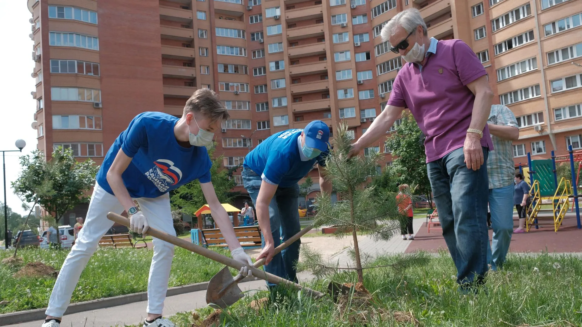 35 сосен высадили во дворе дома на Школьной улице Красногорска