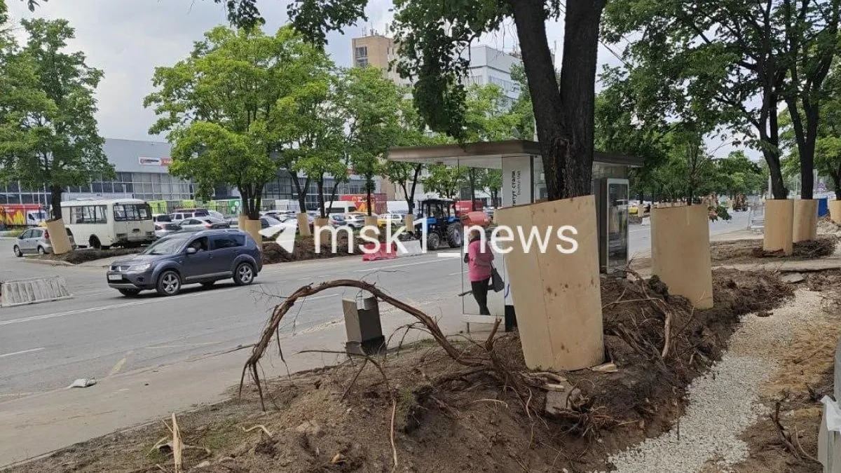 Москвичи пожаловались на варварскую вырубку деревьев ради благоустройства