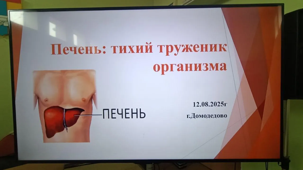 Врачи Домодедова рассказали жителям округа о сохранении здоровья печени
