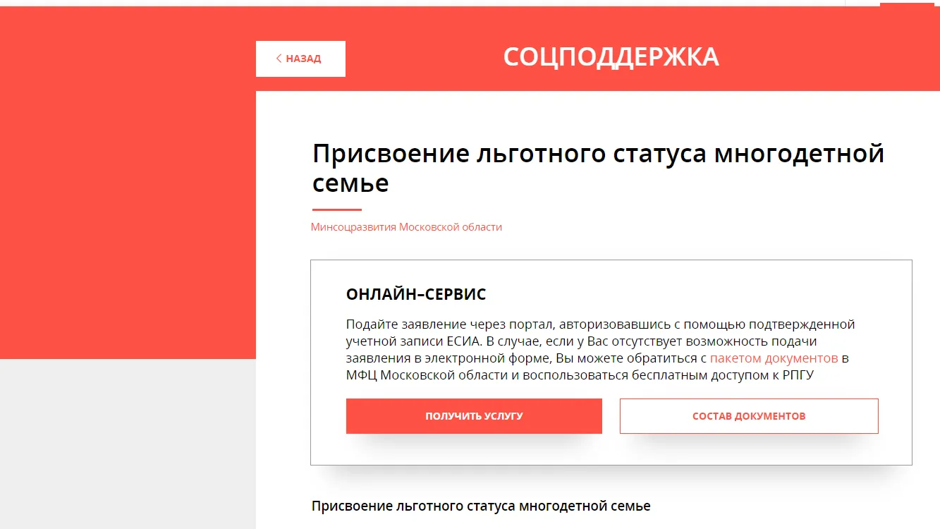 Многодетные семьи Подмосковья с помощью «умных» госуслуг могут оформить выплаты