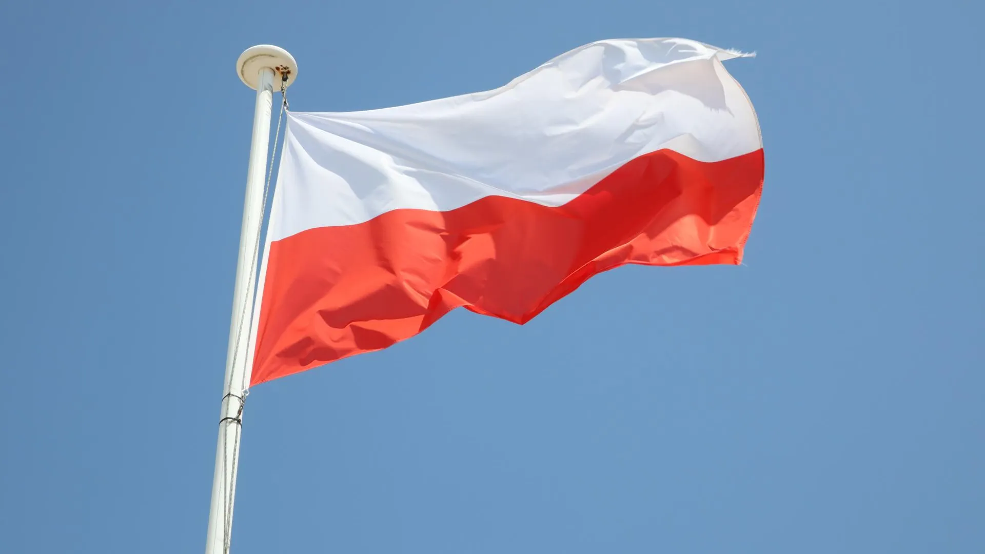 Аналитик Myśl Polska Сволкень: идеи Польши о победе над РФ грозят армагеддоном