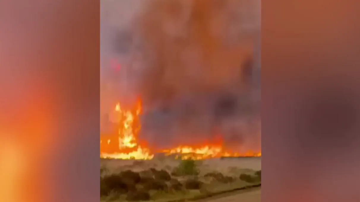 В Нидерландах горит артиллерийский полигон: над районом поднимается столб дыма