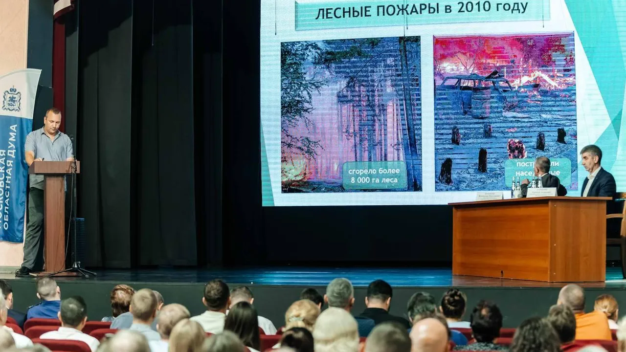 В Орехово-Зуеве реализуют пилотный проект новой программы «Здоровый и чистый лес»