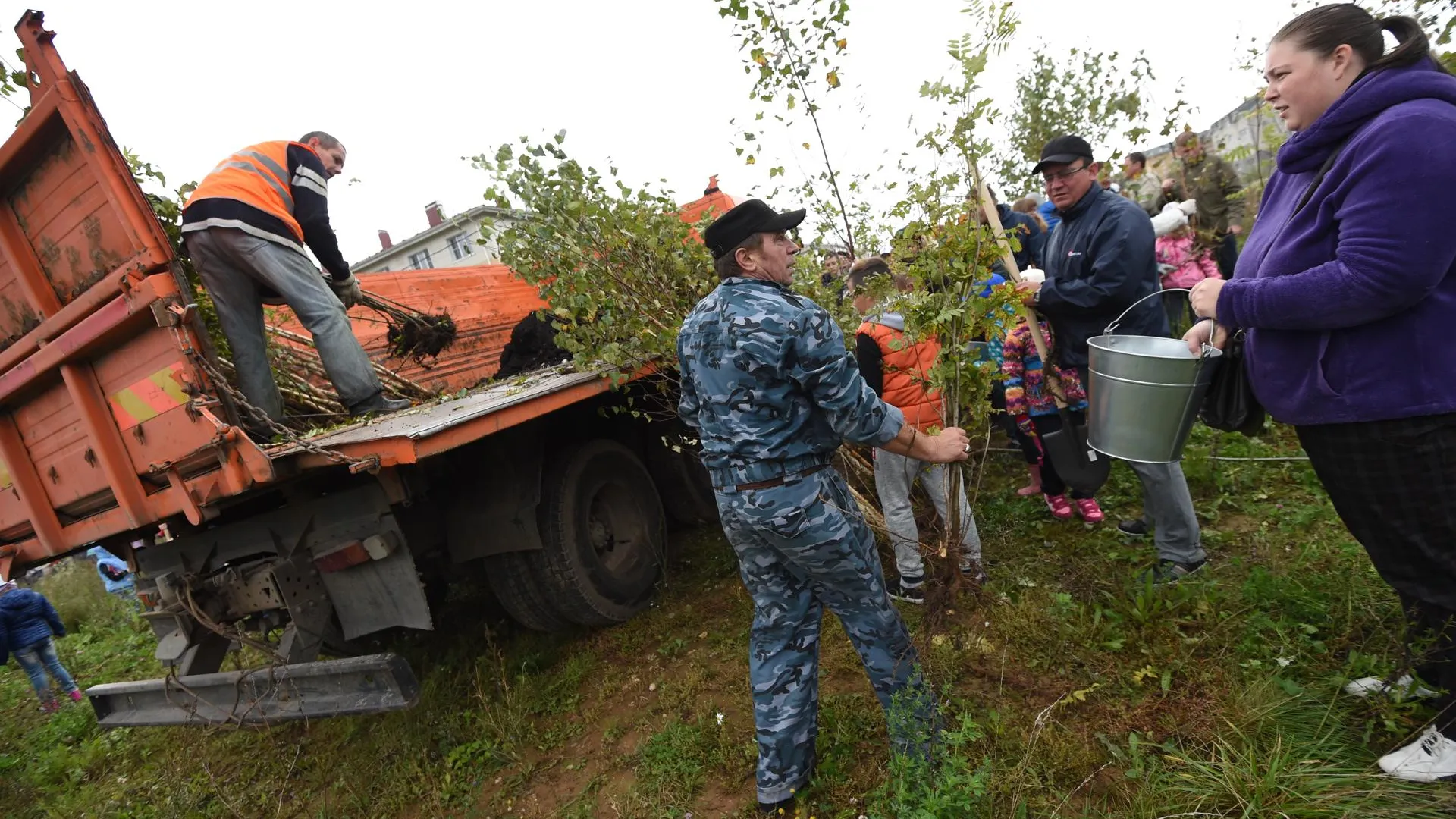 В Жуковском 22 сентября высадят деревья на 16 площадках в рамках акции «Наш лес»