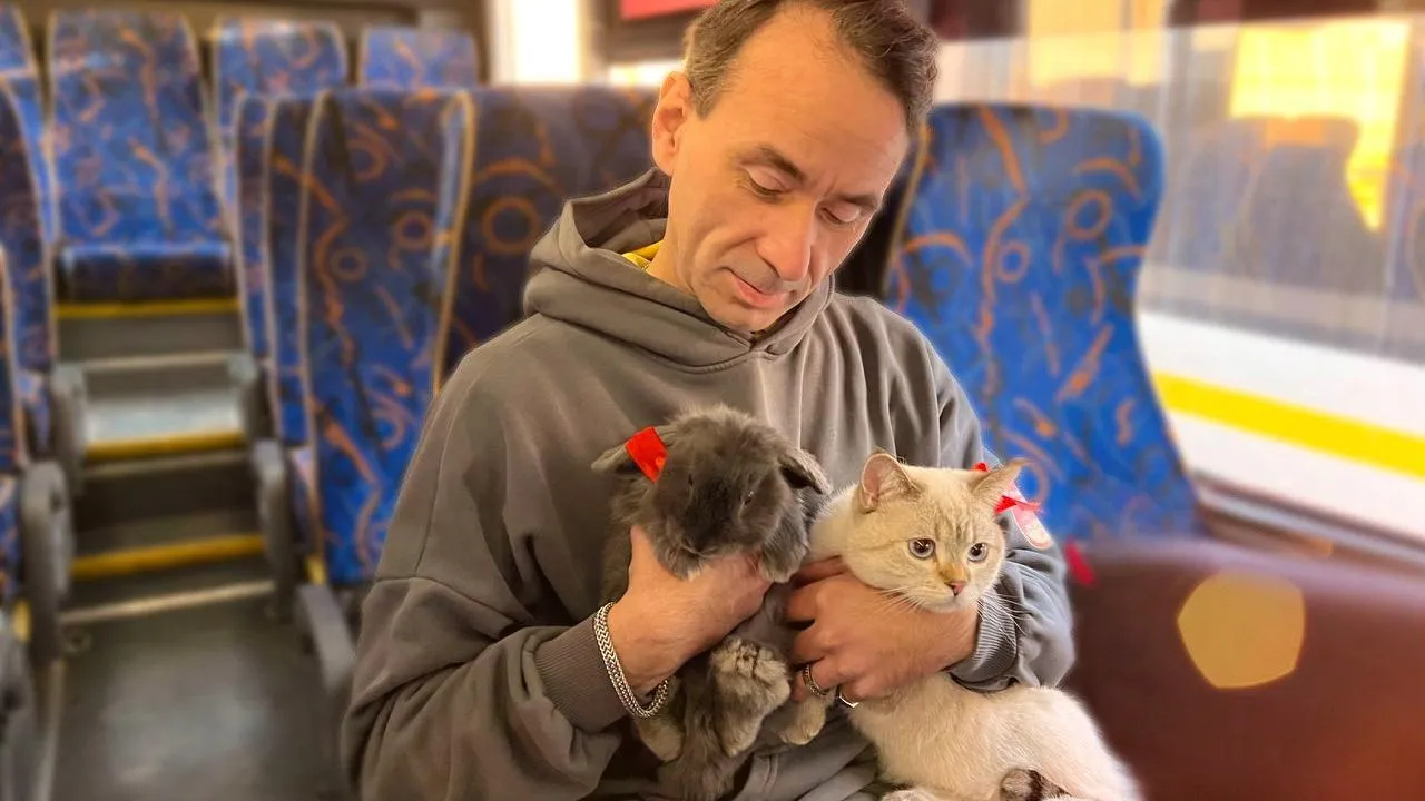 Кота и кролика обнаружили в автобусе в Подмосковье