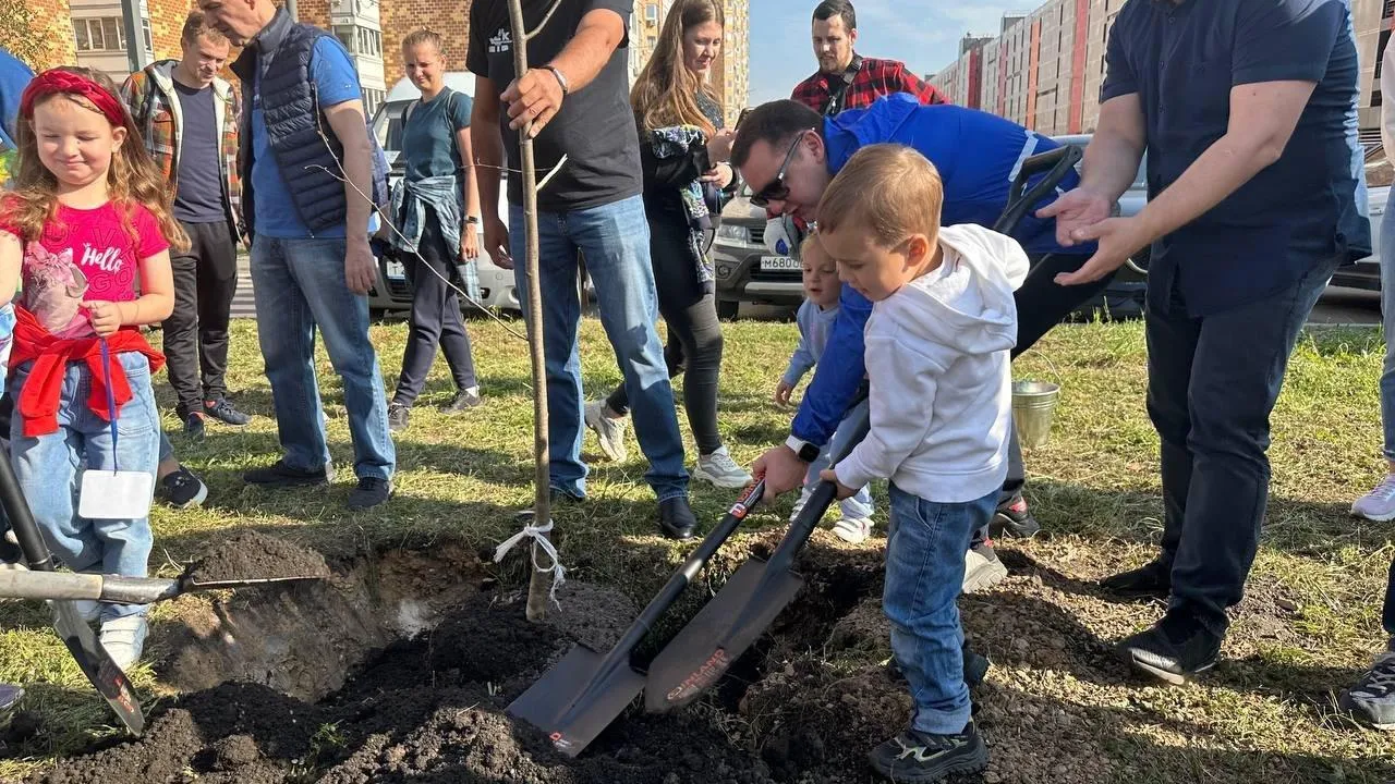 В Долгопрудном пройдет экоакция по сохранению леса 28 сентября