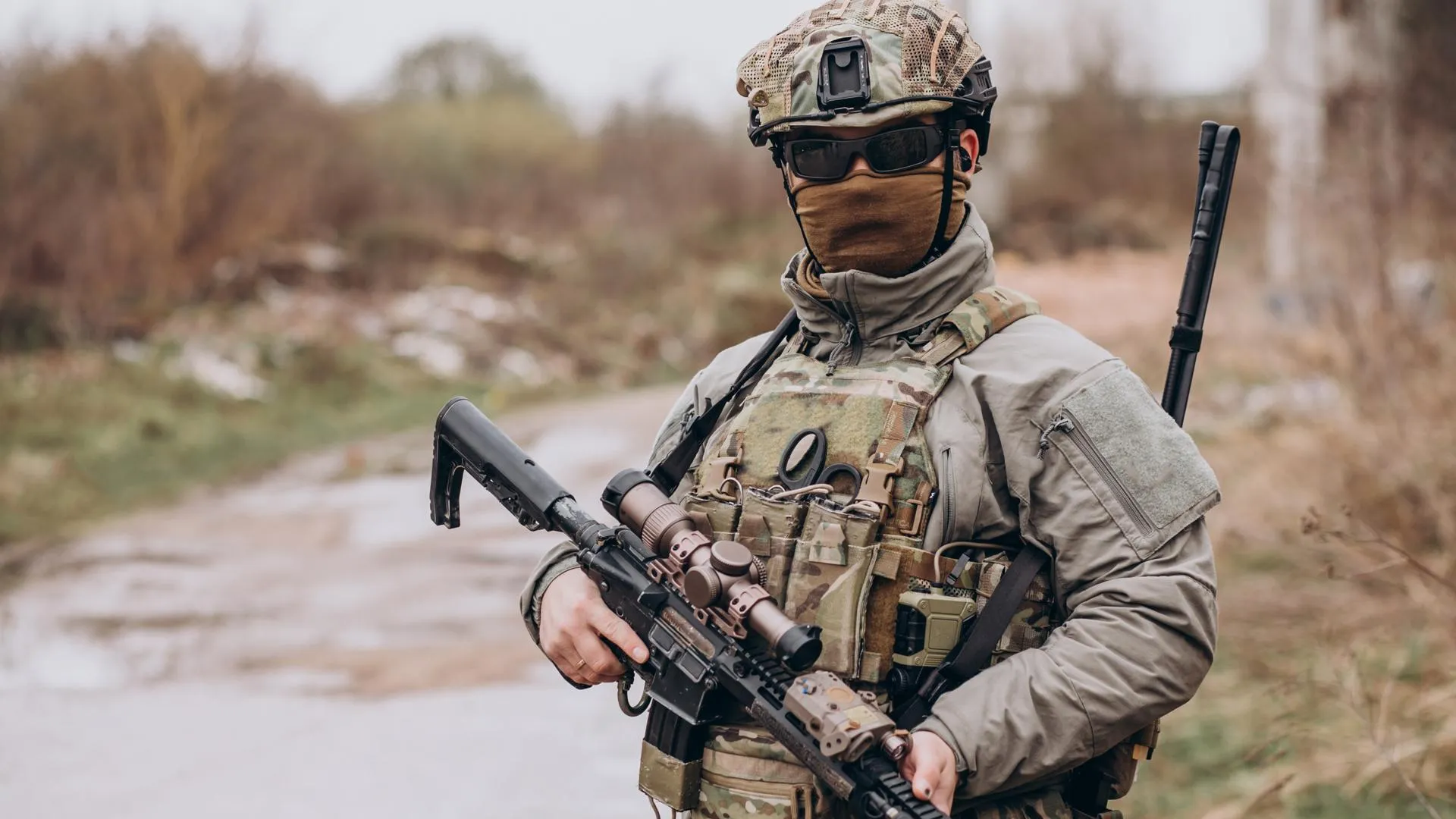 Евродепутат Картайзер: Брюссель хочет создать армию в 100 тыс человек