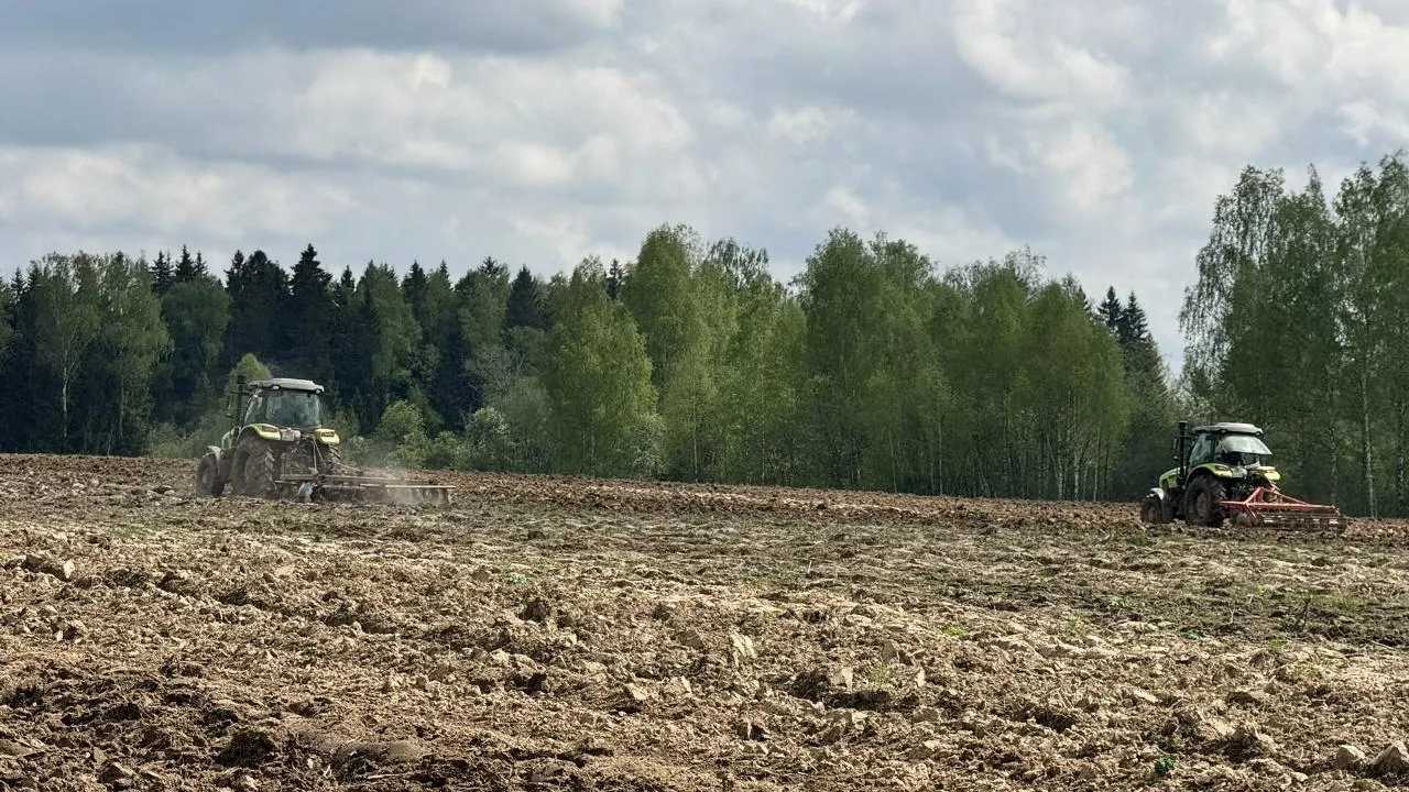 Фермеры Шаховского округа начали сев органических овощей