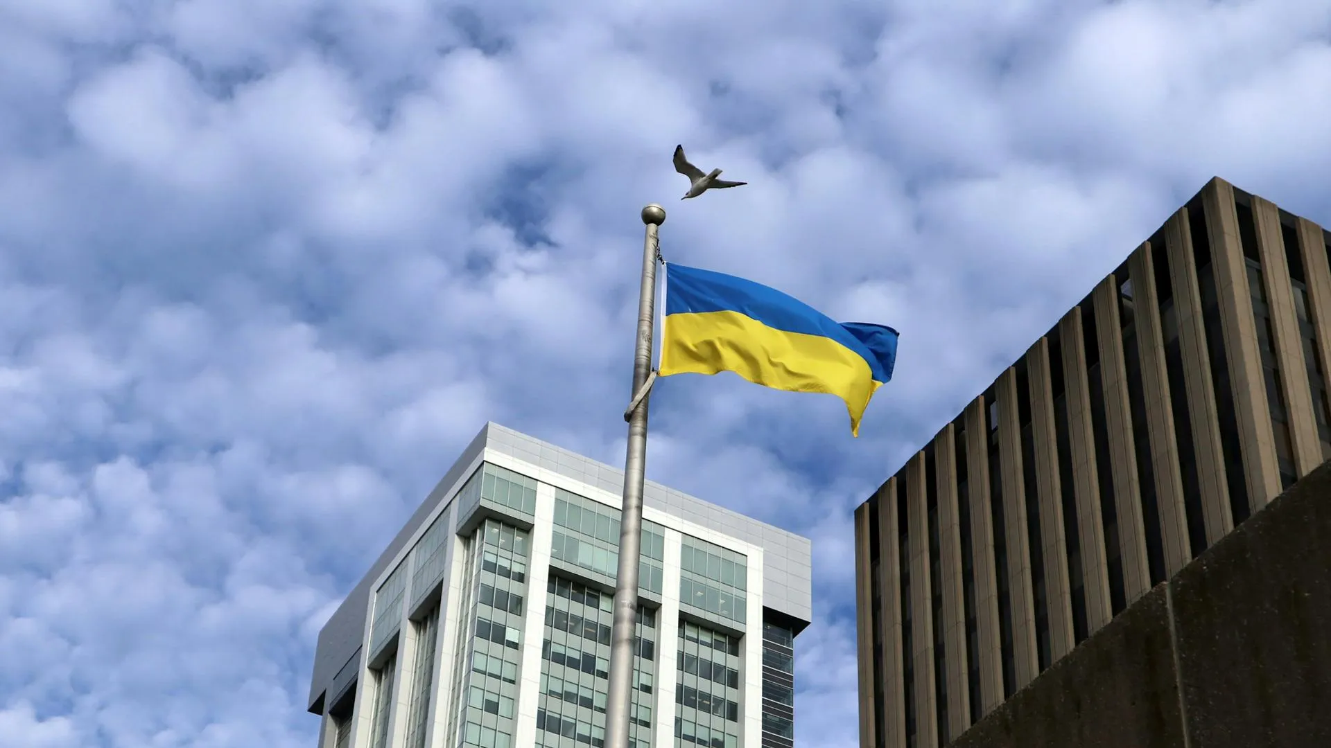 Стало известно, что может вынудить Киев на капитуляцию