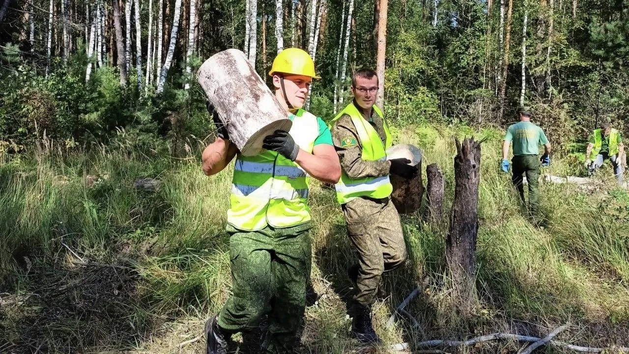 Больше 130 жителей Подмосковья поучаствовали в экоакции «Чистый лес» в августе