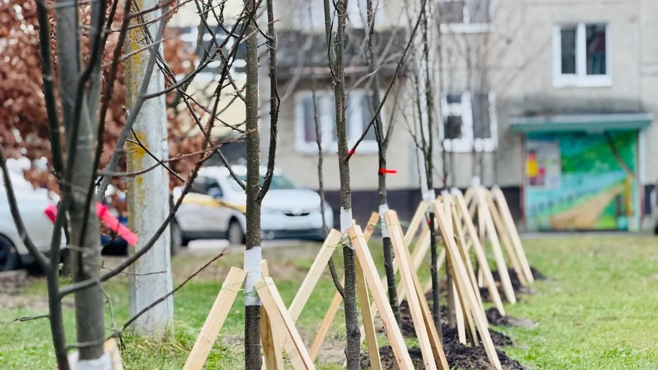 В Егорьевске завершились работы по благоустройству 11 дворов