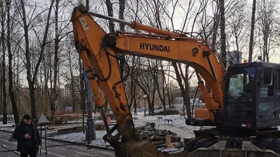 Москвичи встали на защиту березовой аллеи от застройки