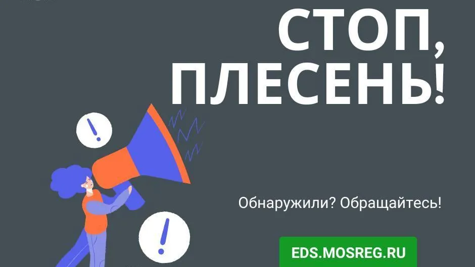 В Подмосковье более чем в 400 квартирах устранили грибок