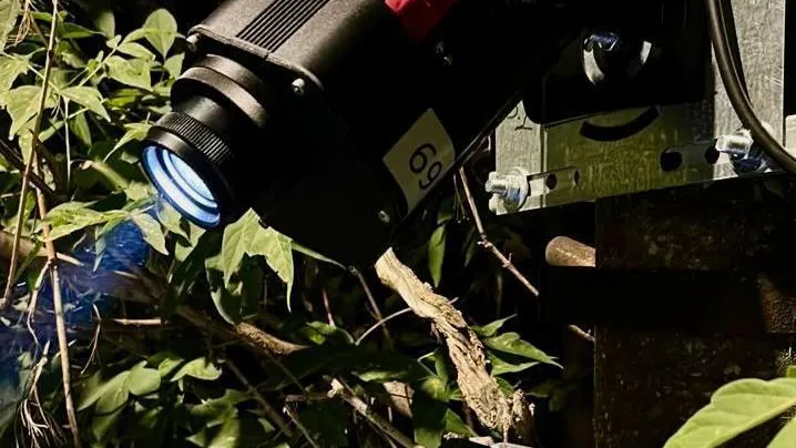 В Подмосковье обустроили еще 100 пешеходных переходов с проекционной подсветкой
