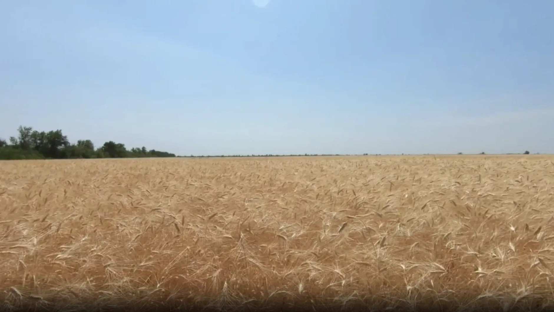 Колледж «Подмосковье» поучаствовал в создании видеоролика к песне «Разговоры о важном»