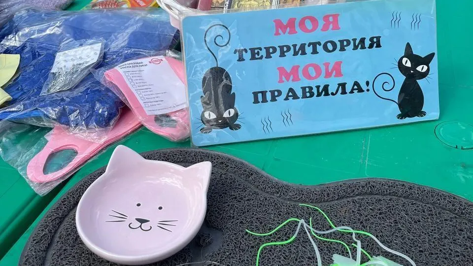 В Электростали пройдет благотворительная акция помощи бездомным животным