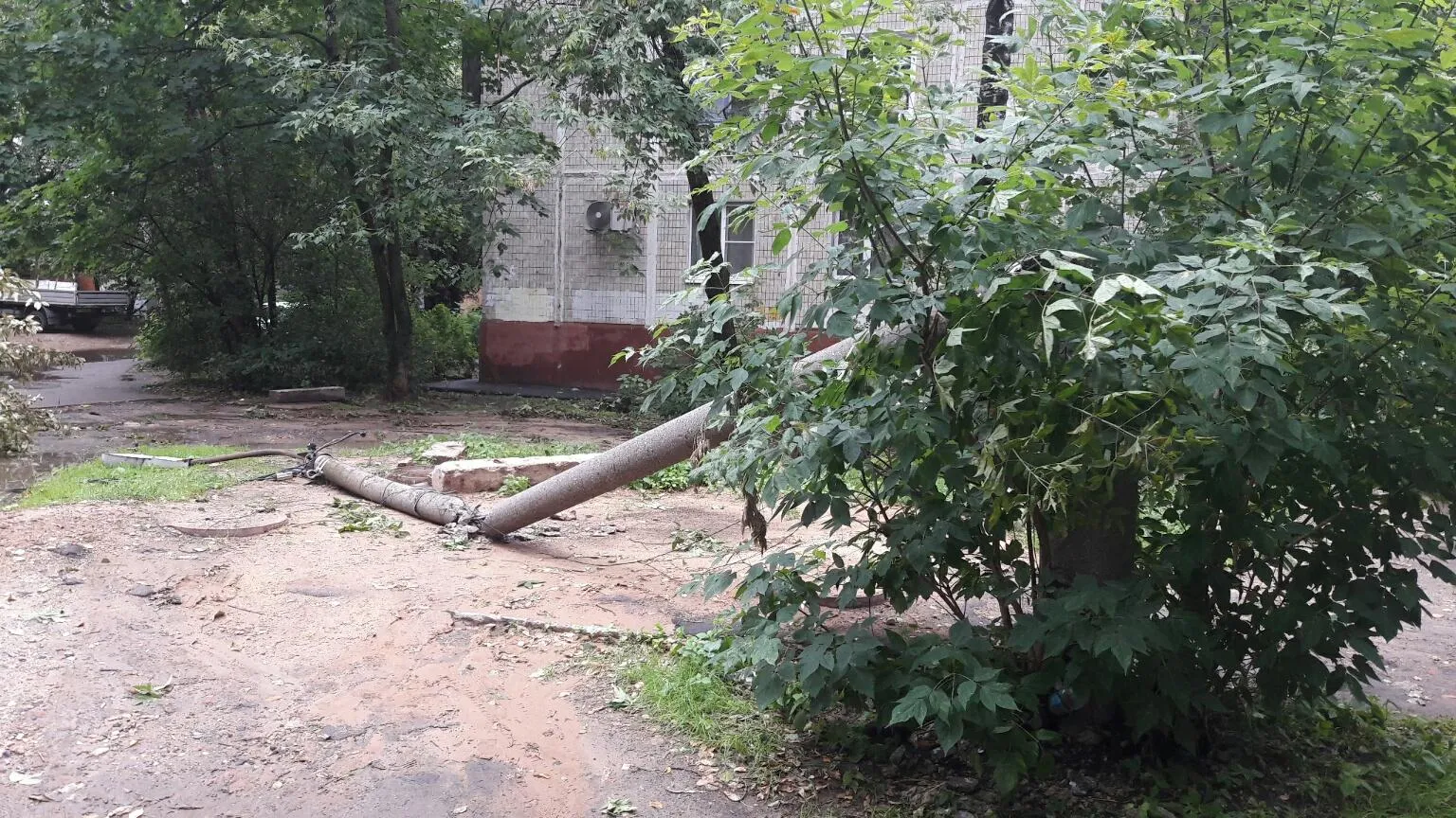 Поваленные после майского урагана деревья в Дзержинском вывезут до 9 июня