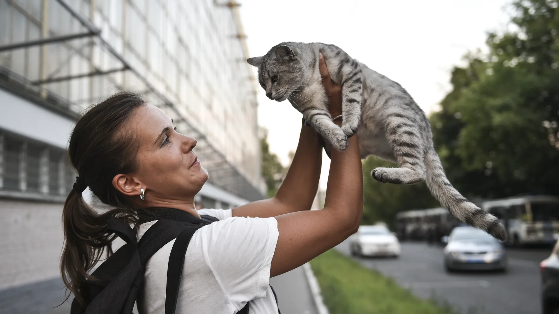 Специалист Глумова: кошки — отличные воспитатели и учителя