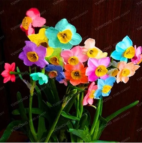 сайт aliexpress.com