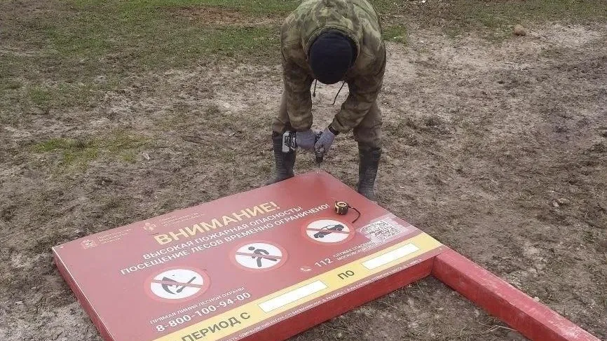 В Подмосковье выполнили почти треть плана по защите лесов от пожаров