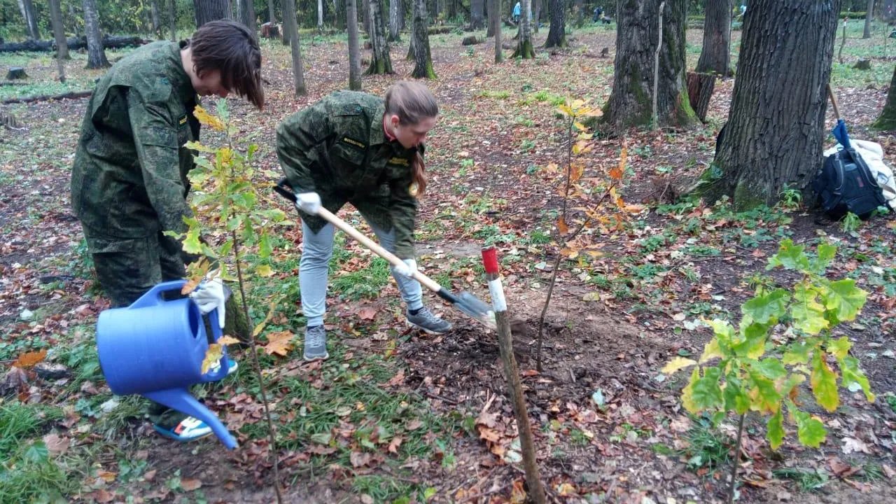 Юные лесничие Сергиево‑Посадского округа занялись восстановлением исторической дубравы