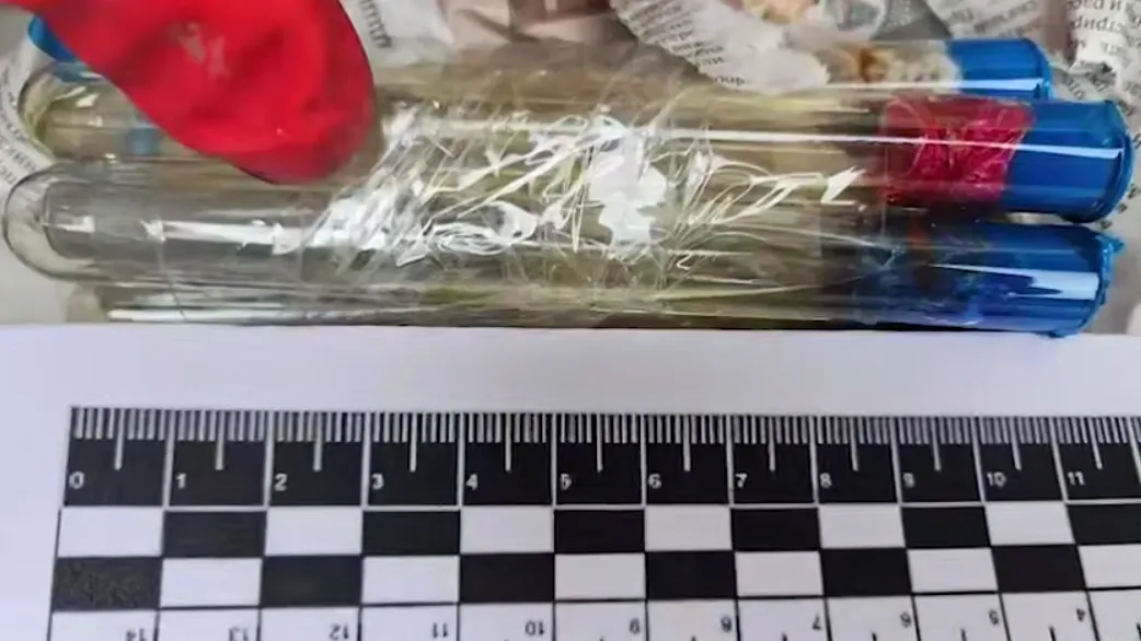 ФСБ обнаружила тайник ВСУ с химическим оружием под Покровском