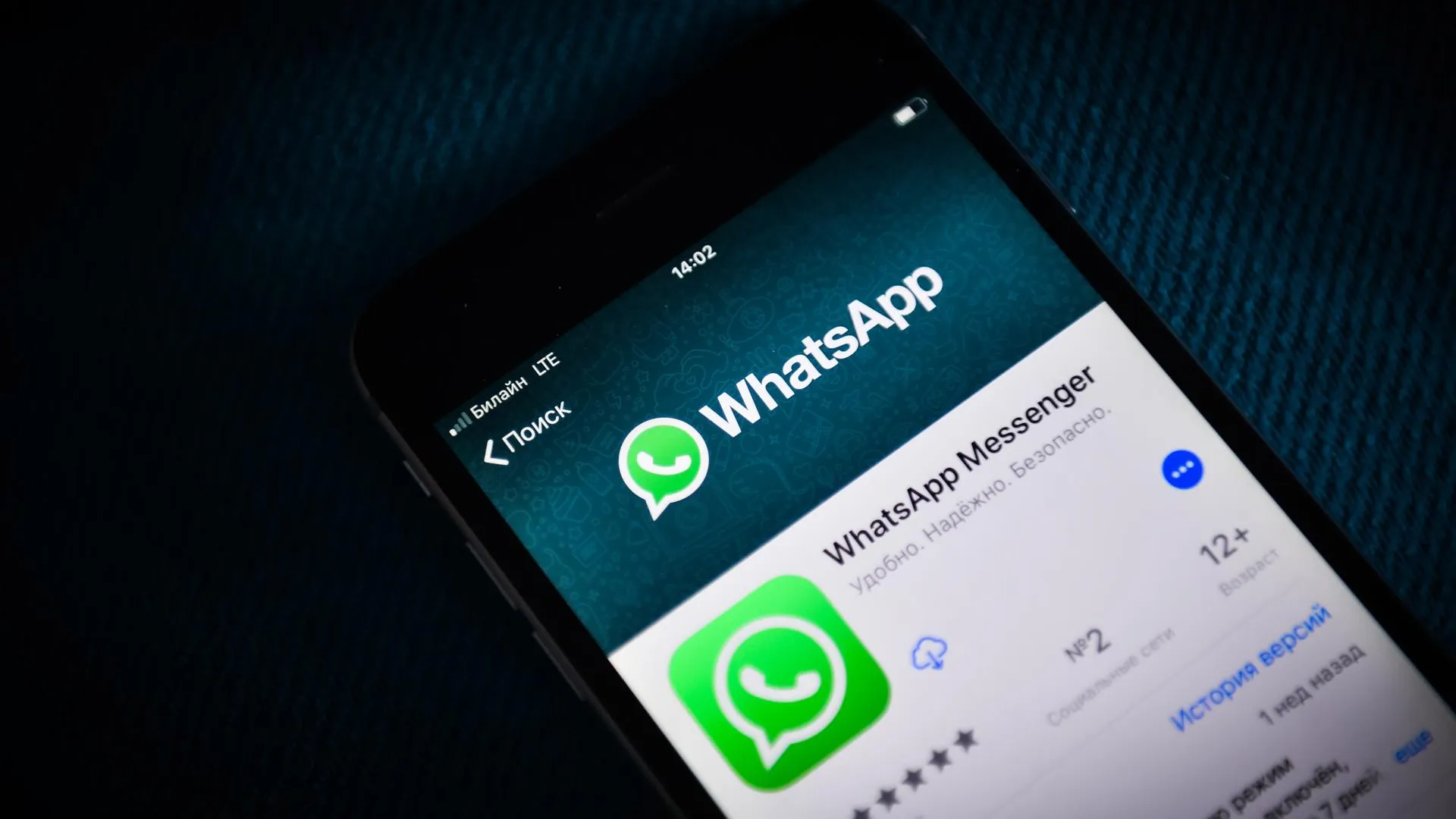 В Подольске создали чат в Whatsapp по вопросам вывоза мусора