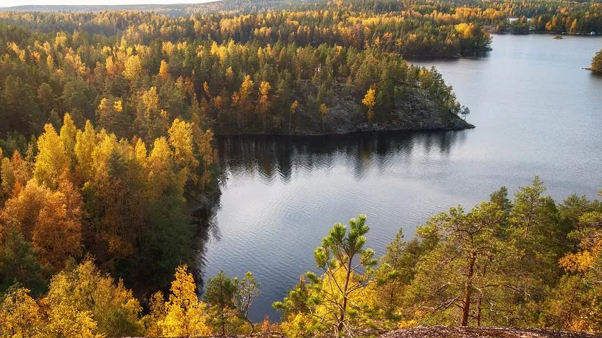 Финская Южная Карелия теряет 1 млн евро ежедневно из-за закрытой границы с РФ
