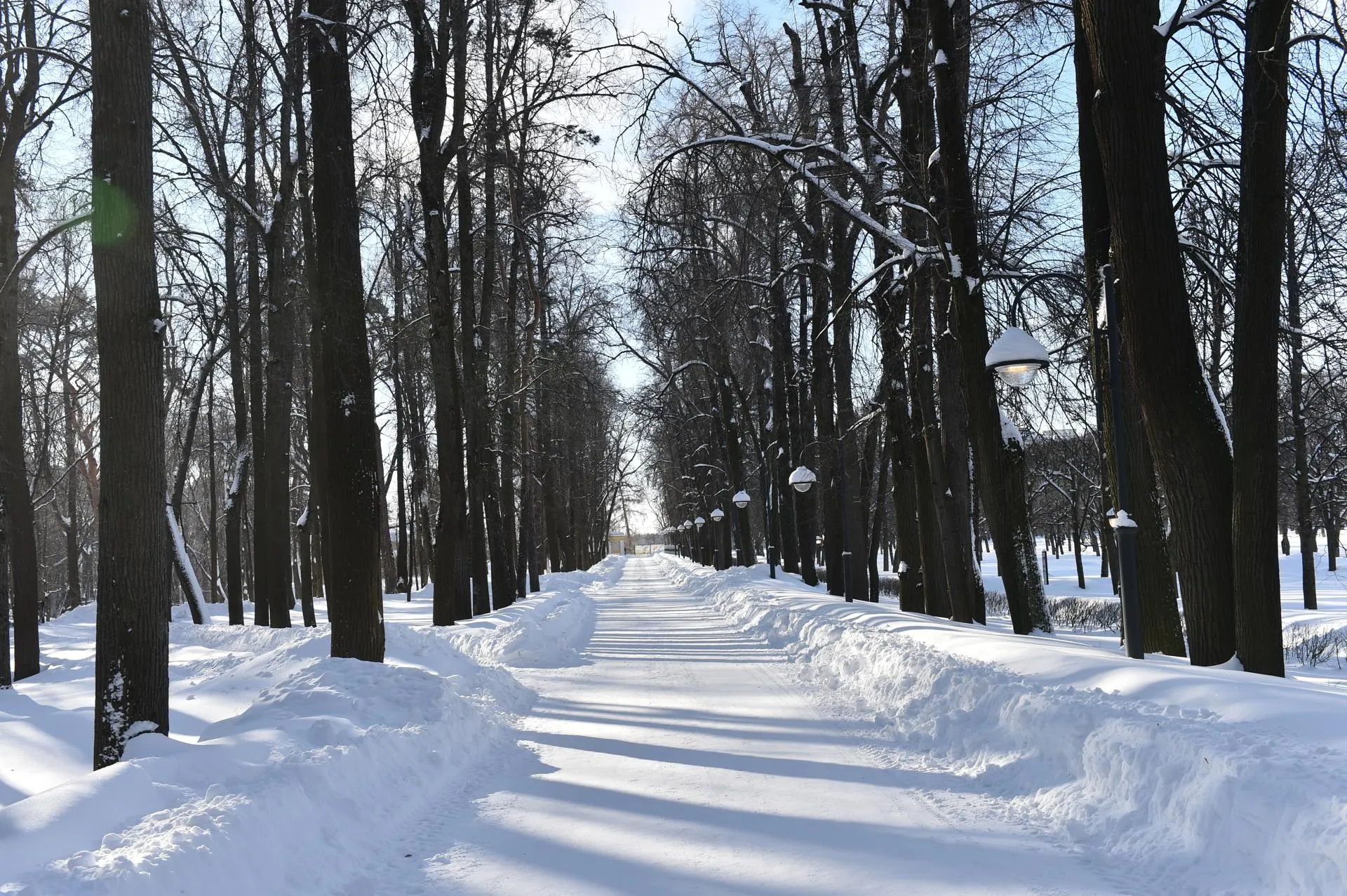 Александр Манзюк