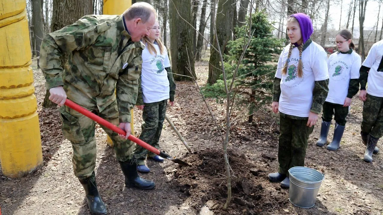 Памятную аллею высадили на территории Бородинского лесничества в Подмосковье