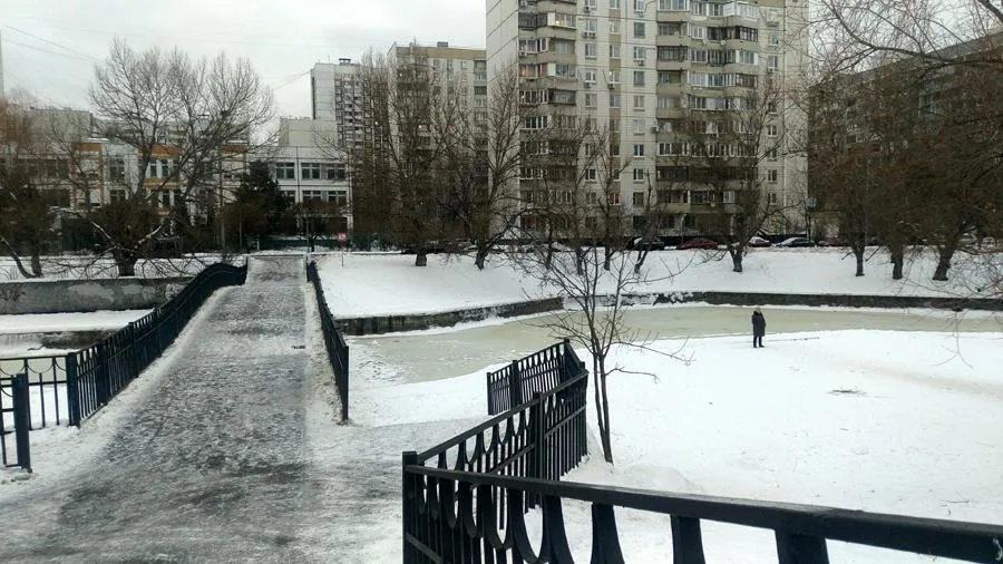 Наталья Козельская
