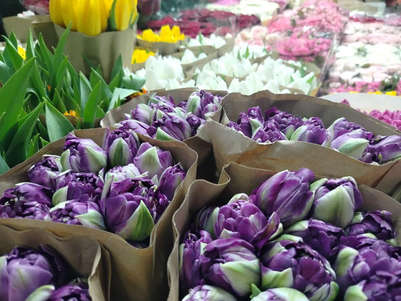 РИАМО, Сергей Дружинин