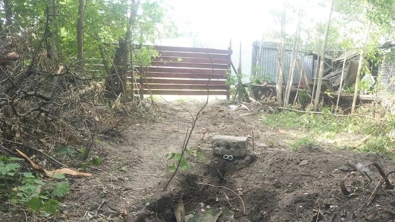Минэкологии пресекло сброс сточных вод в Раменском округе и Ступине