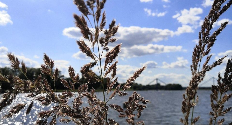 В Музее истории города Бронницы открылась фотовыставка