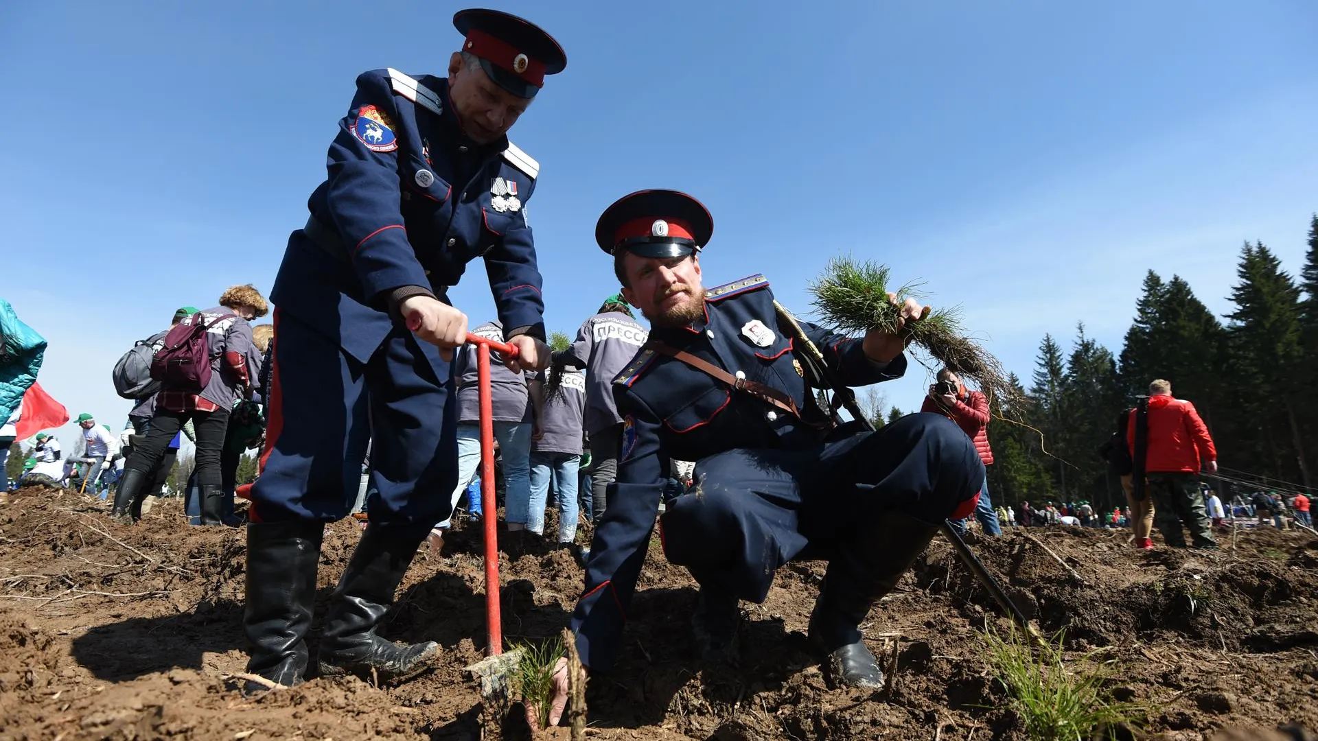 Участок площадью 4,5 гектаров станет главной площадкой акции «Лес Победы» в Ликино‑Дулеве