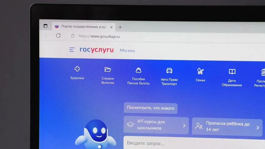 МВД назвало две схемы доступа мошенников к «Госуслугам»